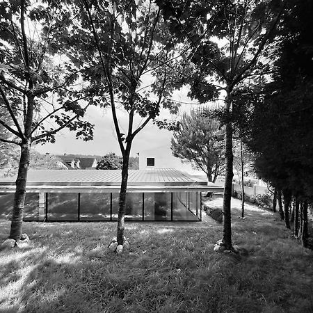 Casa Do Carvalhal - Quinta Do Soldado Villa Alquerubim Buitenkant foto