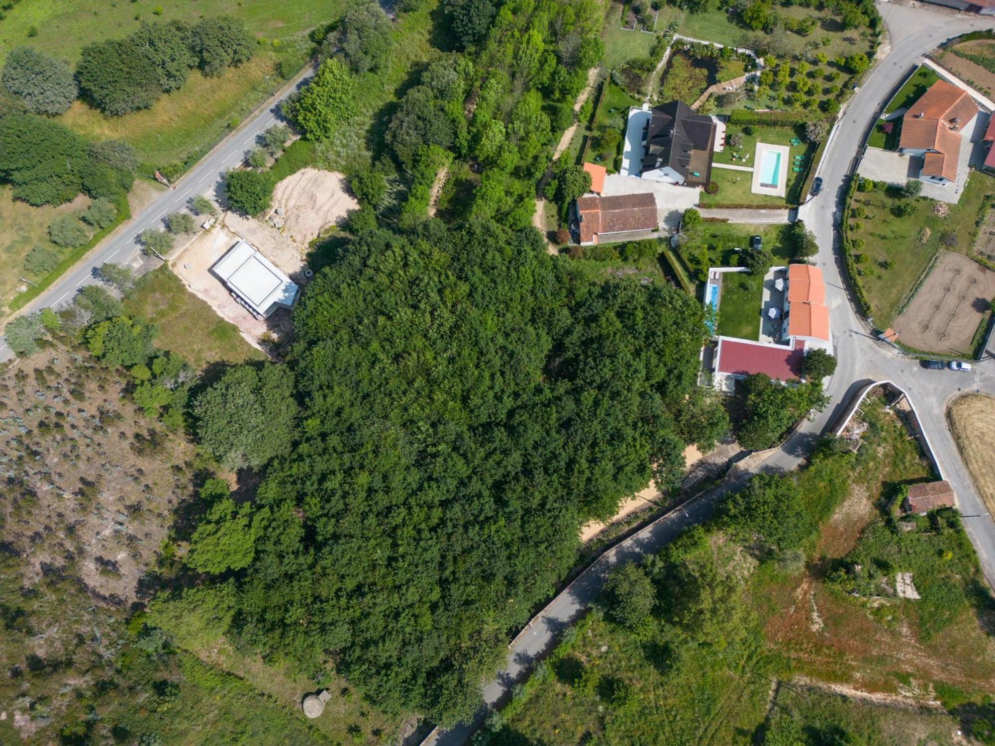 Casa Do Carvalhal - Quinta Do Soldado Villa Alquerubim Buitenkant foto